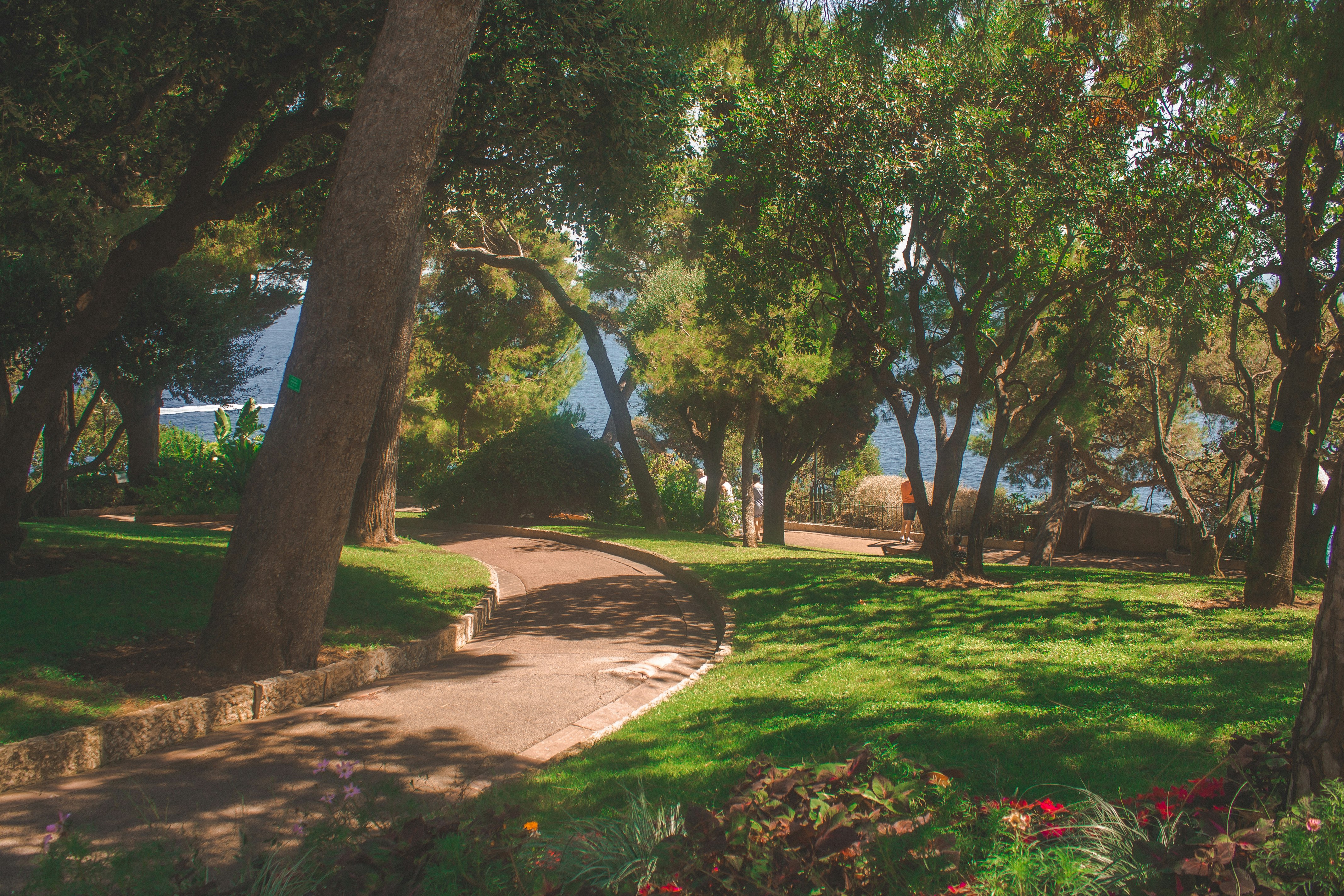 green grass field near green trees and body of water during daytime